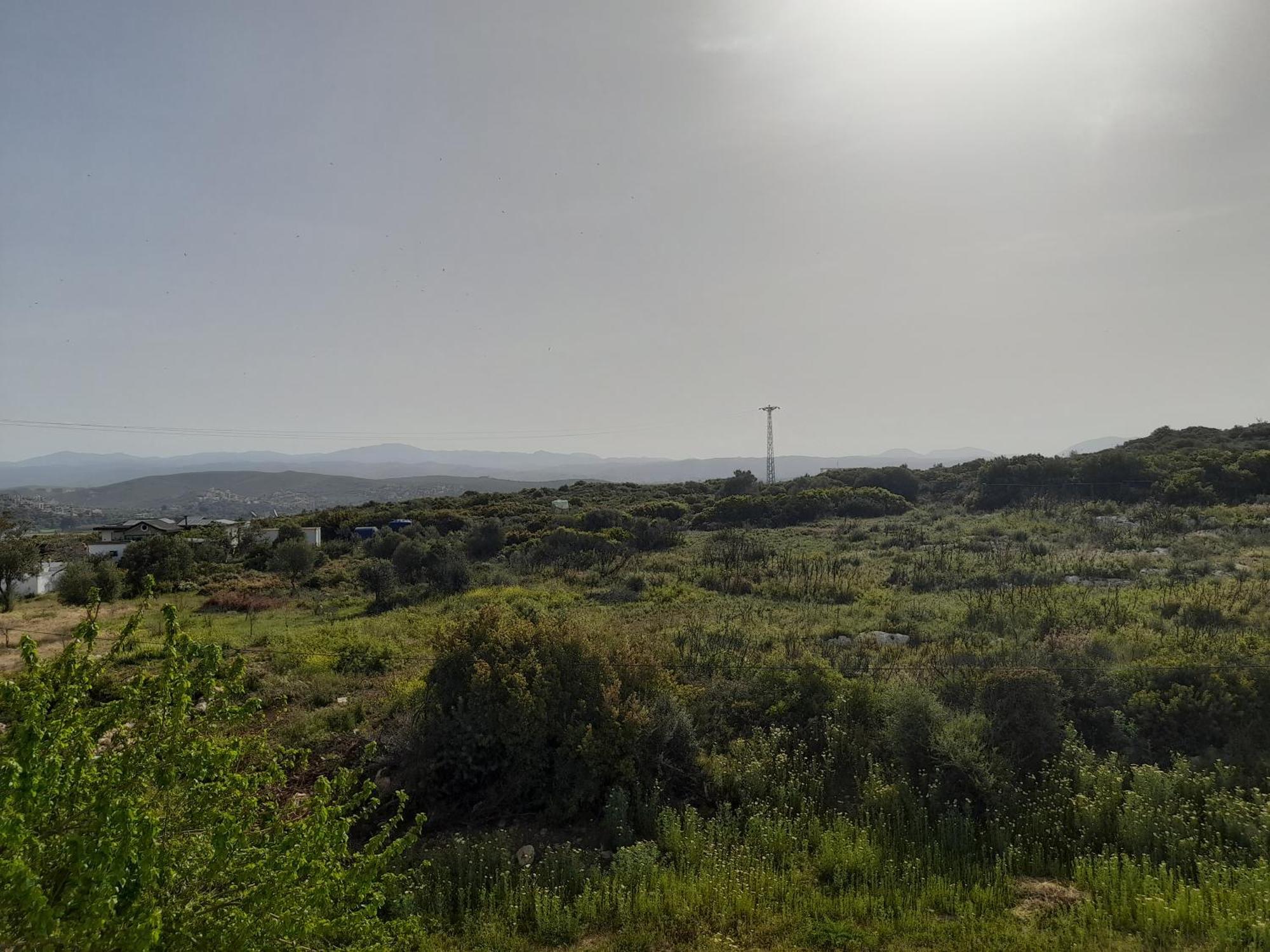 Huzur Hotel Siğacık المظهر الخارجي الصورة